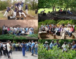 Join Us at the Chesapeake Ecology Center!